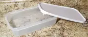 Tupperware Modular Mates Rectangle #1 Clear w/ White Seal 11" x 7" New
