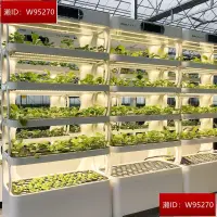 在飛比找露天拍賣優惠-智能種菜機無土栽培家用水培蔬菜生菜草莓育苗種植箱智能種植機
