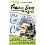 CHICKEN SOUP FOR THE SOUL WHAT I LEARNED FROM THE CAT: 101 STORIES ABOUT LIFE, LOVE, AND LESSONS