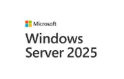 Microsoft Windows Server CAL 2025 English 1pk DSP OEI 1 Clt Device CAL No Refund EP2-25225