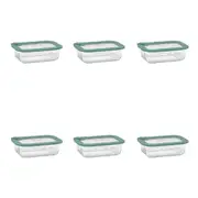 6PK Ecology Store Rectangle Clear Glass Food Storage Container 640ml Eucalyptus