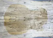Figure Electric Guitar Top Spalted Worm-hole Maple Wood Set Luthier Supply