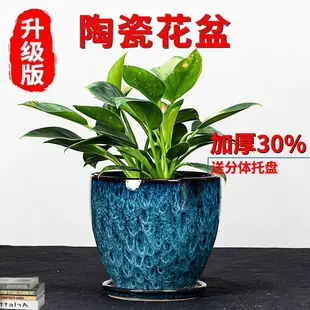 陶瓷花盆清倉處理特大客廳家用大號高端落地植物盆栽大花盆綠植盆