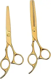 2 Pcs Set Hairdressing Hairdressing Scissors Hair Cutting Tool Hairdressing Supply Professional Haircut Scissors Hair Salon Cutter Barber Scissor for Salon Stainless Steel Golden