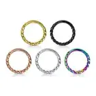 16GA Hinged Segment Hoop Rings Surgical Steel Twisted Ion plated Nose Piercings