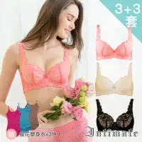 在飛比找momo購物網優惠-【Intimate 內著】3+3套組 天然絲棉 可抽取襯墊穩