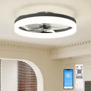 Low Profile Ceiling Fans with Lights and Remote, 19.7in Fandelier Ceiling Fan...