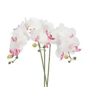 3Pcs 31" 7 Heads Artificial Orchid Stems Faux Silk Phalaenopsis, White Red