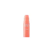 The Saem - Perfect Glam Stick Blusher - 6g - CR01 Apricot Milk
