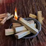 Palo Santo Smudge Sticks (Holy Wood)