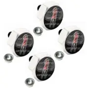 2 Silver Metal Hex License Frame Tag Bolts - PIN UP TATTOO GIRL S033