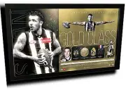 DANE SWAN GOLD CLASS AFL COLLINGWOOD FC LIMITED EDITION PRINT FRAMED MEMORABILIA