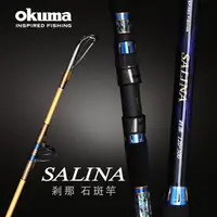 在飛比找蝦皮購物優惠-源豐釣具 OKUMA 寶熊 剎那SALINA III 煞那 