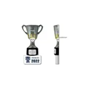 Geelong Cats AFL Premiers 2022 Trophy Lapel Pin