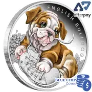 2018 50c Puppies - English Bulldog 1/2oz Silver Proof Coin