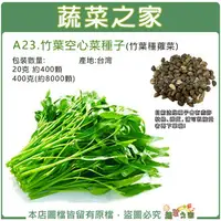 在飛比找樂天市場購物網優惠-【蔬菜之家】A23.竹葉空心菜種子(竹葉種蕹菜)(共有2種包