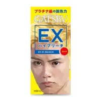 在飛比找蝦皮購物優惠-期限202403 GATSBY-無敵顯色漂色劑【極限白金】染