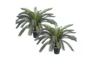2X 155cm Artificial Indoor Cycas Revoluta Cycad Sago Palm Fake Decoration Tree Pot Plant
