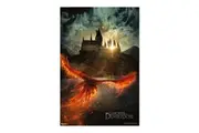 Fantastic Beasts The Secrets of Dumbledore Poster 91.5x60cm Hanging Wall Decor