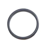 BRAND NEW GENUINE PASLODE 18GA FINISHING NAILER PISTON RING 901040