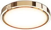 Round Aluminum Frame Ceiling Lamp,European Style Decoration Lighting Fixtures,LED Light Source Flush Mount Ceiling Light,Bedroom Living Room Flat Panel Lamp