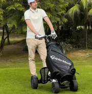Eswing Electric Four Wheel Folding Push or Ride 1600w Golf Cart Trolley Scooter