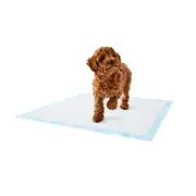 Puppy Training Pad 20 Pack