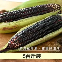 在飛比找台灣好農優惠-雲林黑寶水果玉米5台斤-倉