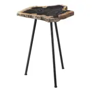 Uttermost 25461 Mircea 16"W Cross Section Petrified Wood Accent - Black