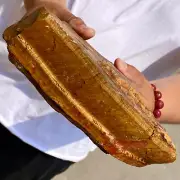 7.47LB atural Yellow Tiger's eye quartz crystal Specimen mineral Healing stone