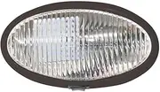 Diamond Group by Valterra Products DG71259VP Utility/Porch Light-Black Base