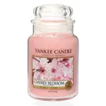 《YANKEE CANDLE》櫻花香氛香氛蠟燭623G