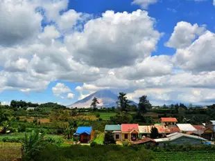 納徹爾家庭旅館Nachelle Homestay