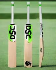 DSC English Willow Cricket Bat (Short Handle)