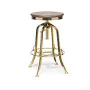 Lirash Swivel Height Adjustable Gold Bar Stool with Oak Wood Top