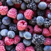 在飛比找蝦皮商城優惠-進口新鮮急凍花青素冷凍莓果 藍莓/蔓越莓/黑醋栗/草莓 40