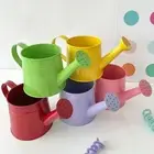 Home Watering Can Metal Water Spraying Pot Mini Flower Kettle for Children