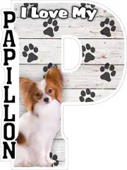 I Love My Papillon Fridge Magnet
