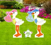 Twin Decoration Yard Stork Signs Kit, Lawn Birth Announcement, New Baby Art