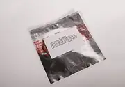 ACDelco 29536406 GM Original Equipment Automatic Transmission Fluid Pump Slide Seal