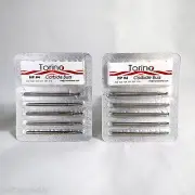 Dental Carbide Burs HP No 04 Dental Lab / Jewelry Kit /10 TORINO