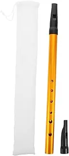 JOINPAYA 6-hole Irish Whistle Recorder Key Flute Boys and Girls Irish Flute for Beginners Musical Instrument