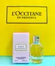 【質本嚴】L'OCCITANE 歐舒丹玫瑰花園淡香水7.5ml