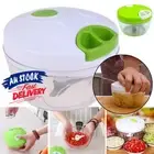 Fruit Mincer Vegetable Onion Blender Meat Cutter Shredder Food Chopper Garlic