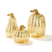 Catzon 3Pcs Mercury Glass Pumpkin Light with Timer for Halloween Decor-Gold