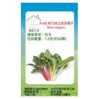 在飛比找PChome24h購物優惠-A106.奇巧瑞士甜菜種子