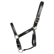 HORSE SIZE- READY MADE - Black TURNOUT HALTER Made from BETA BIOTHANE
