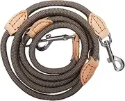 Dog Lead for Medium and Large Dogs, Multifunctional Lead for Dogs, 2.1 m, Adjustable with 2 Carabiners, Robust Nylon Dog Leash, Recall Lead Beige Grey, Double Lead for 2 Dogs