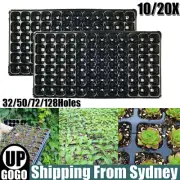10/20X 32/50/72/128Holes Plant Seeds Grow Box Propagation Nursery Seedling Tray