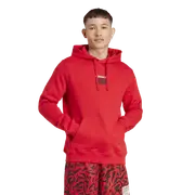 [Adidas] Adidas Graphic Hoodie - Men Hoodies
